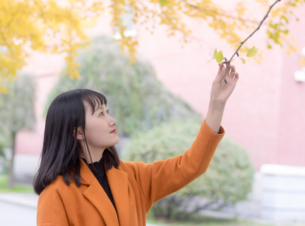 菲律宾签证大使馆元旦放几天假，办理签证要几天